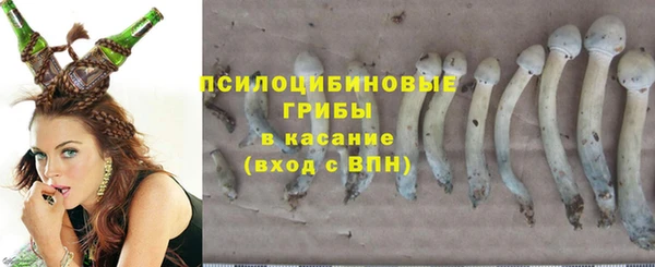 соль ск Бронницы