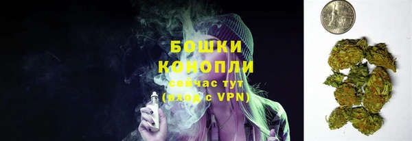 соль ск Бронницы